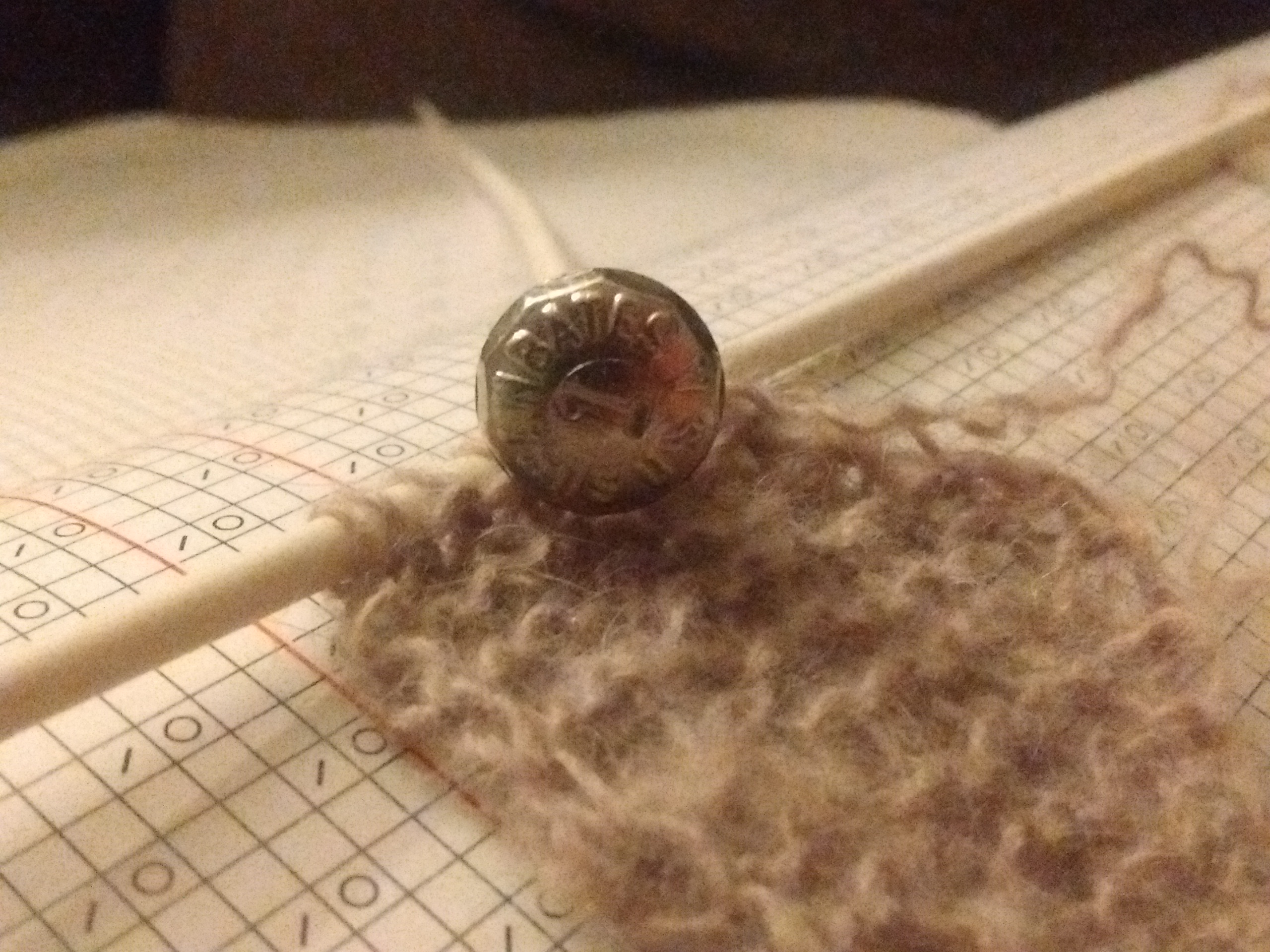 IMG_20151202_221053944